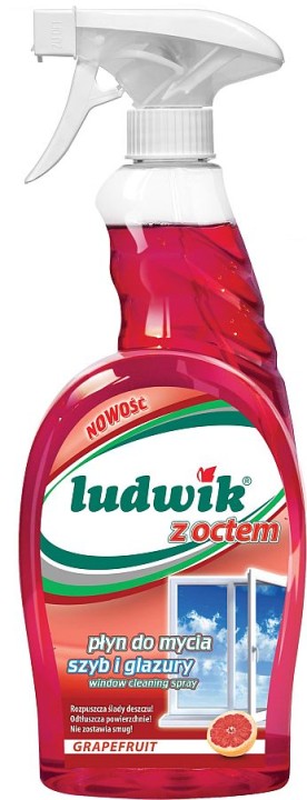 ludwik-z-octem-do-mycia-szyb-glazury-750ml.jpg
