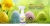 easter-cookies-kala-chanti-olejek-250ml.png