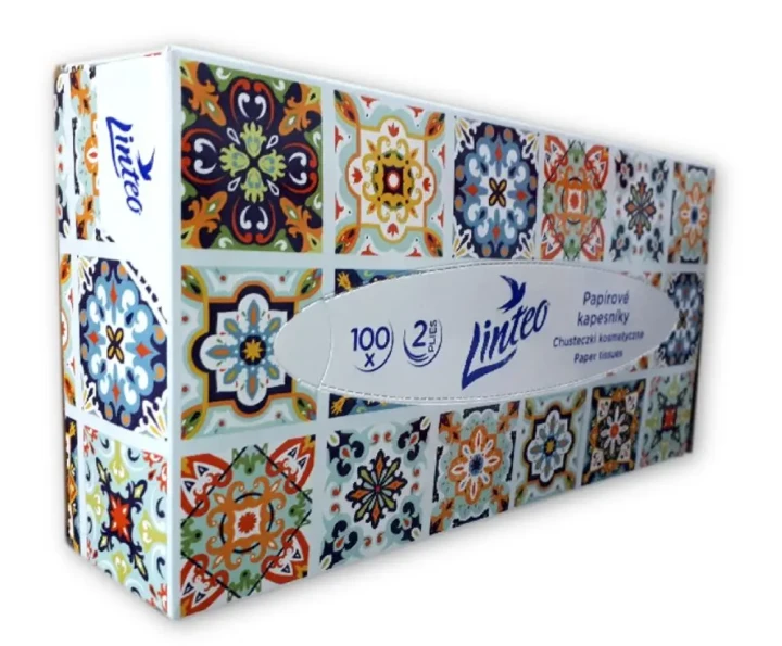 chusteczki-higieniczne-linteo-celuloza-100-sztuk-kartonik.webp